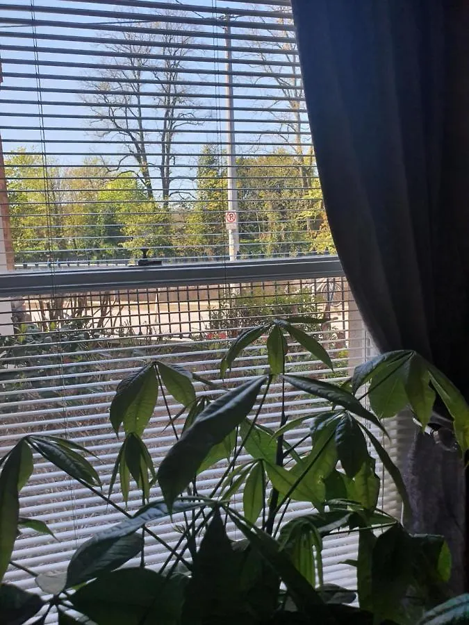 River View Apartment Suite Cork